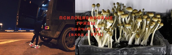 винт Лагань