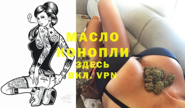 винт Лагань
