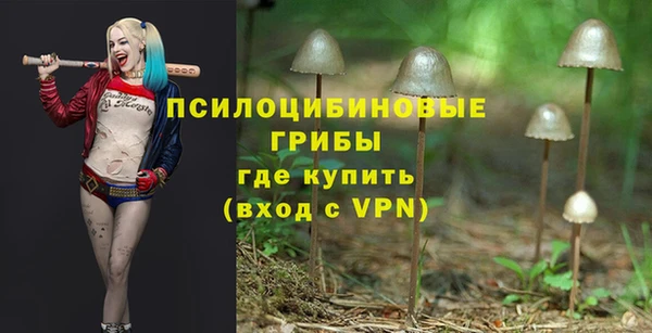 ПСИЛОЦИБИНОВЫЕ ГРИБЫ Лабытнанги