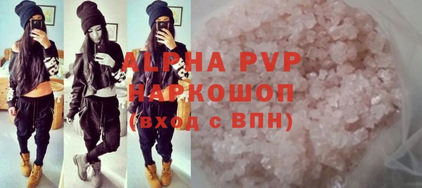 винт Лагань