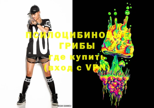 винт Лагань