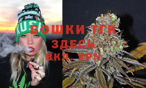 ПСИЛОЦИБИНОВЫЕ ГРИБЫ Лабытнанги
