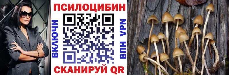 Псилоцибиновые грибы Magic Shrooms мега как зайти Железногорск как найти наркотики