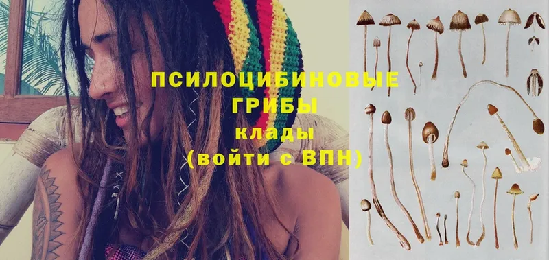 Псилоцибиновые грибы GOLDEN TEACHER  Железногорск 