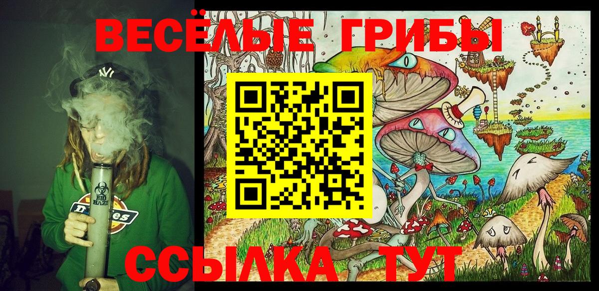 Галлюциногенные грибы Cubensis  Железногорск  Псилоцибиновые грибы Magic Shrooms 