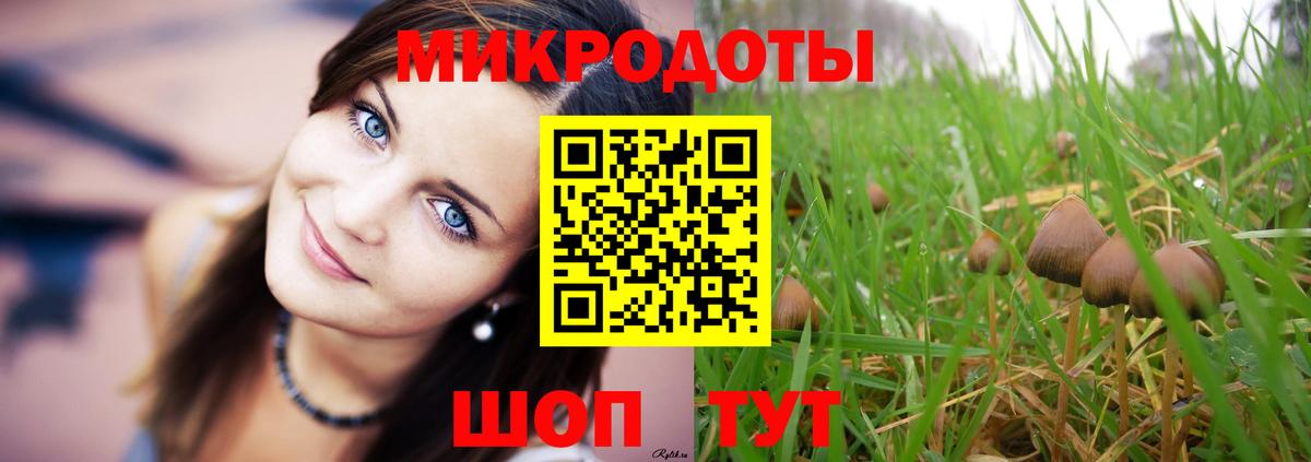 Псилоцибиновые грибы мицелий  Вход с VPN  Железногорск 