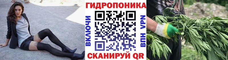 Бошки марихуана OG Kush  Железногорск 